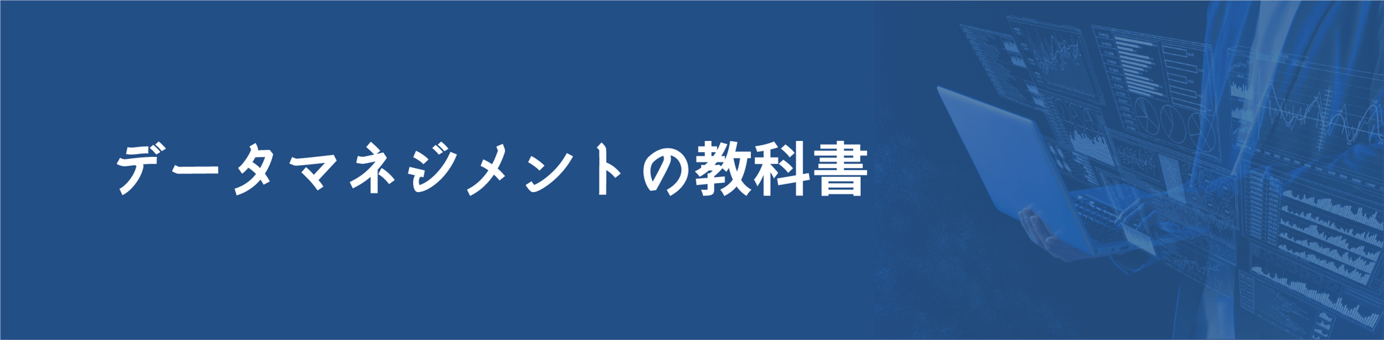 データマネジメントの教科書FV