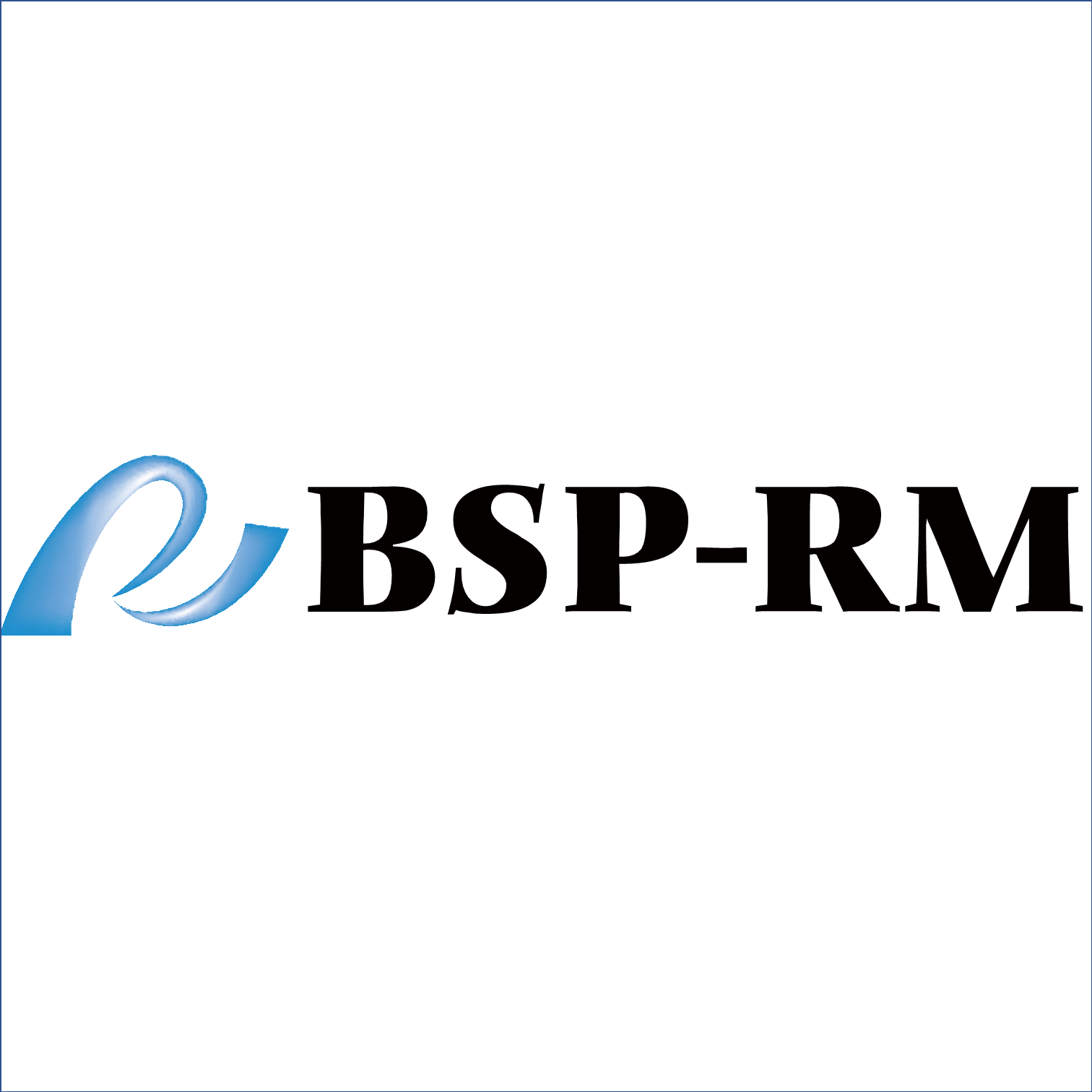 BSP-RM