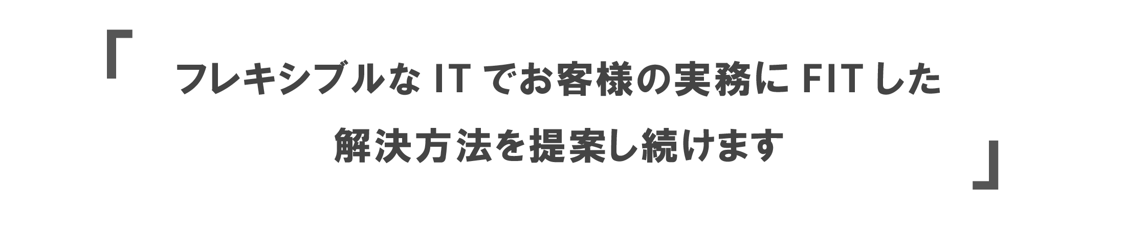 フレキシブルなITでお客様の実務にFITした解決方法を提案し続けます