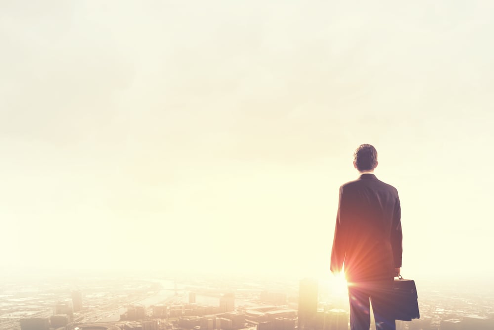 Rear view of businessman looking at sunset above city