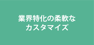業界特化の柔軟なカスタマイズ