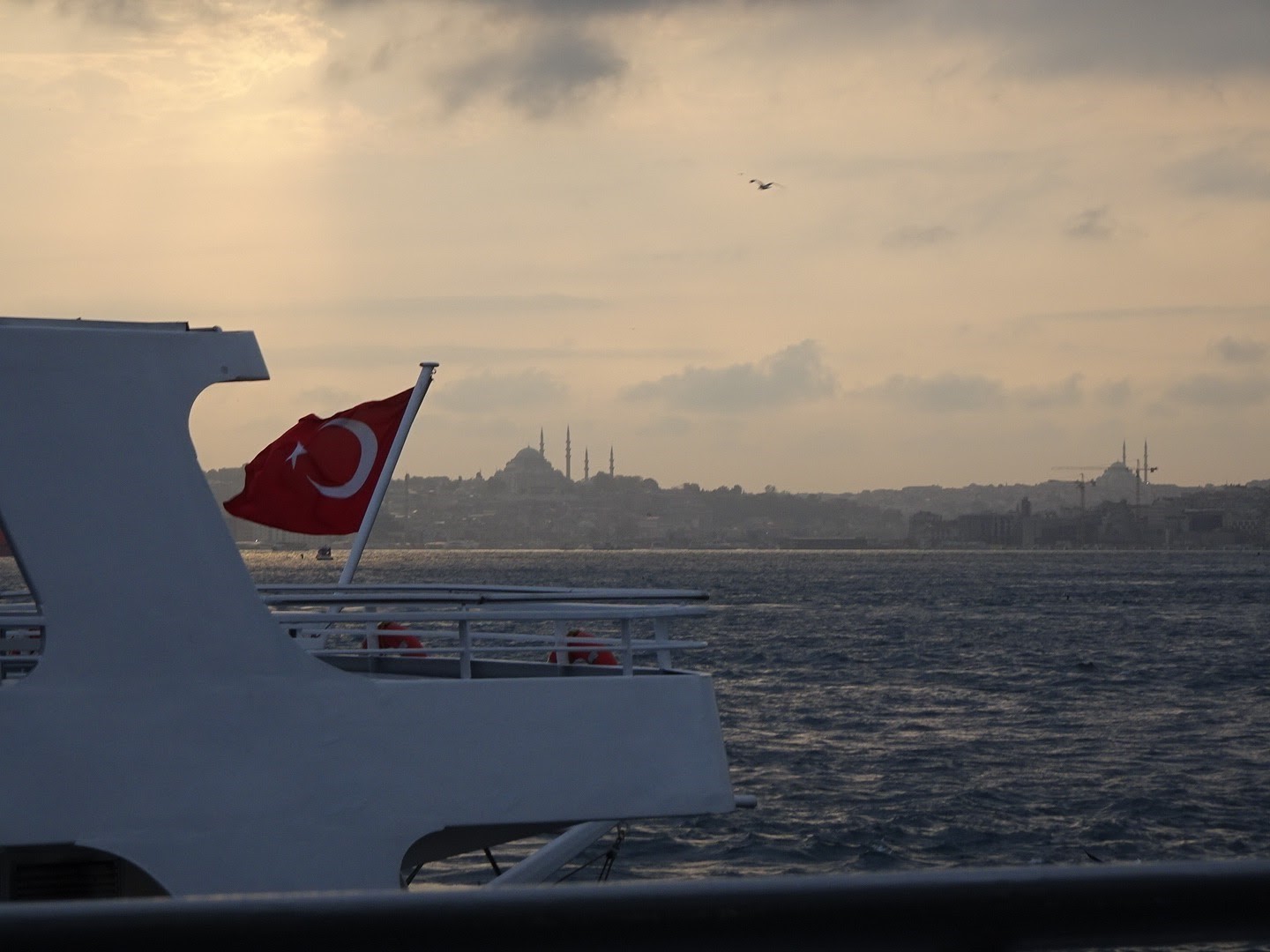 turkey